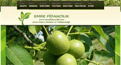 Desktop Screenshot of emrefidancilik.com