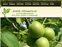 Tablet Screenshot of emrefidancilik.com